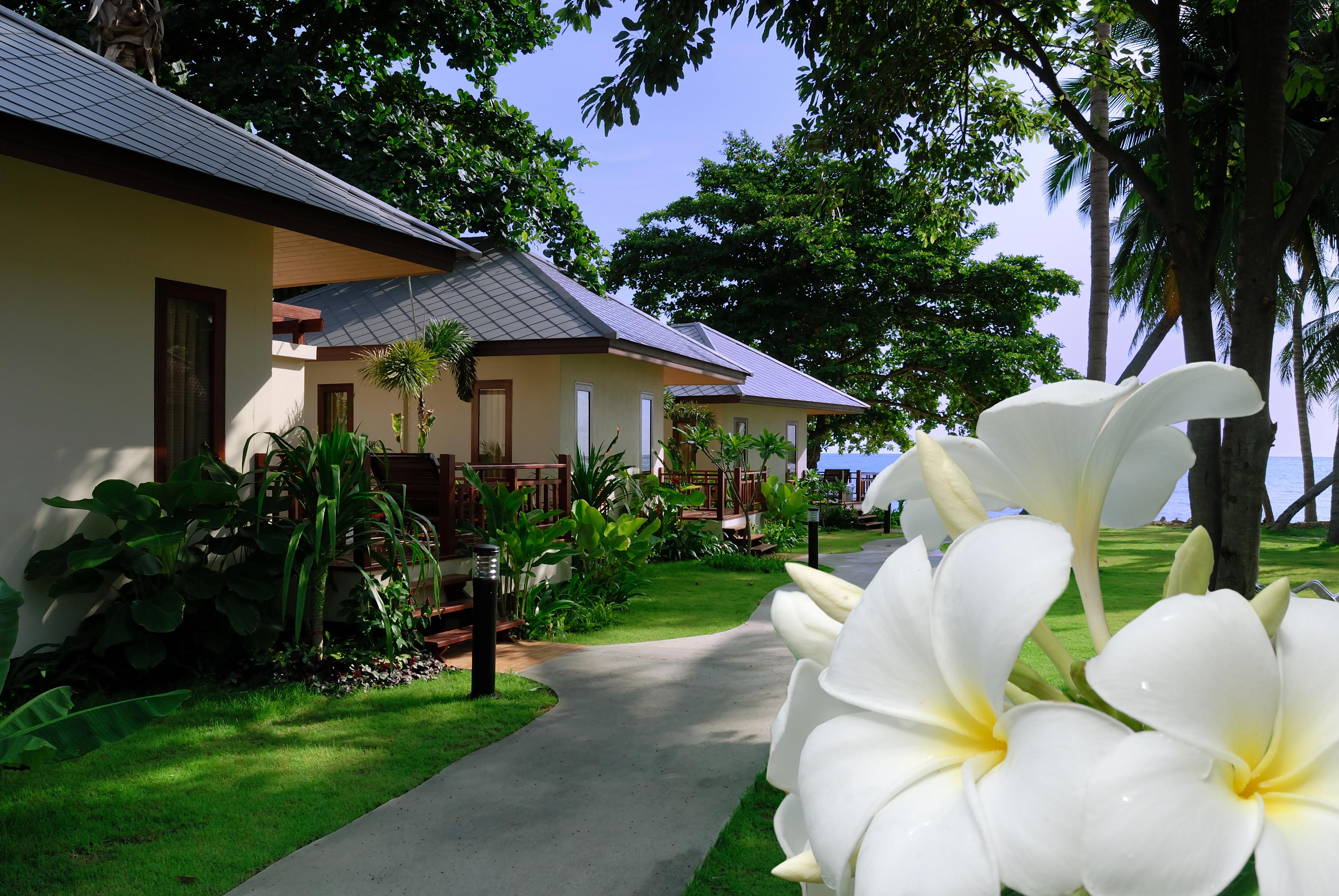 Promtsuk Buri Lamai Beach (Koh Samui)